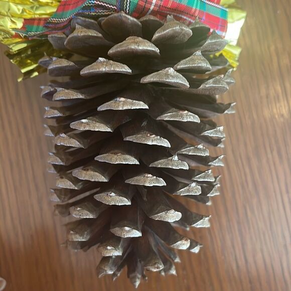 Fun & kitschy pine cone singing angel Christmas ornament with gold wings & halo - Picture 3 of 6